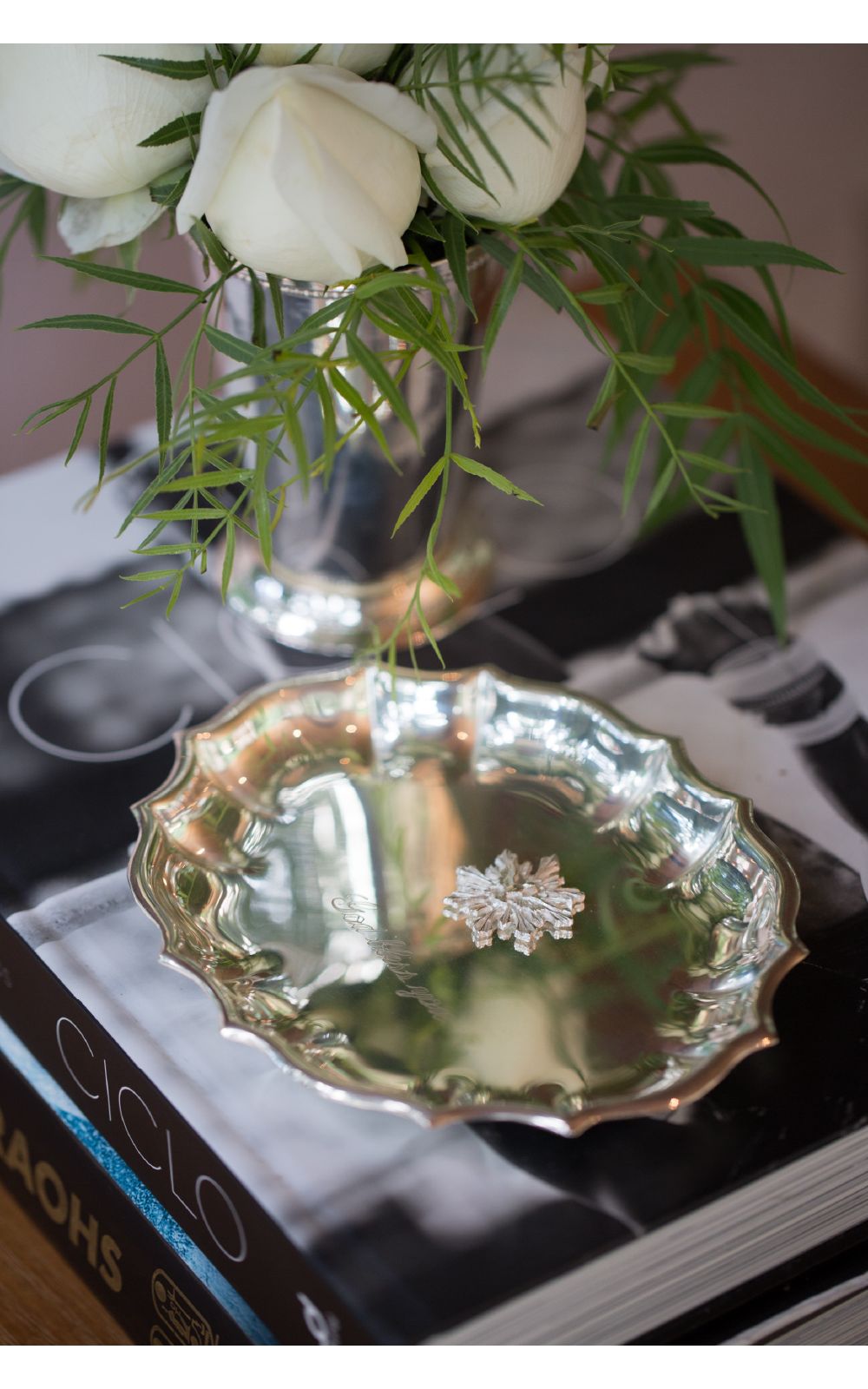 Salva-Chipandelle-Redonda-ES