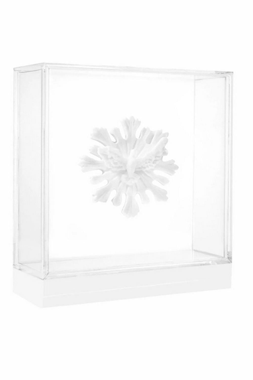 CLA00001043.jpg CLA00001043.jpg