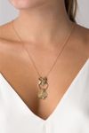 Copy-of-Colar-Porta-Medalhas-Laco-NSG