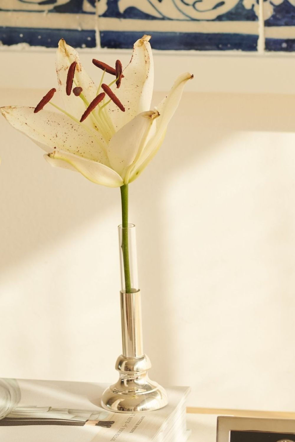 AD----01---0291.jpg AD----01---0291.jpg